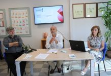 Sinergie per il lavoro: più opportunità per le persone con disabilità