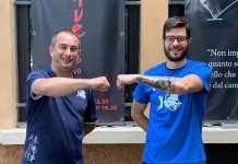 Basket Prima Div. m – L’Abc Virtus ingaggia il play Mantovani