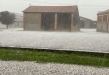 Marcaria – Campi flagellati dal maltempo