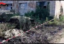 I Carabinieri scoprono un capannone degli orrori: padre e figlio denunciati