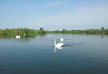 Idrovia turistica, la Provincia scrive alla Regione