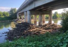 Canneto – Tronchi e ramaglie sotto il ponte stradale