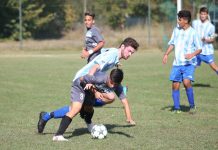 Calcio dilettanti – Eliminazione vincolo sportivo: dalle società un coro di no