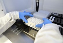 Unità crisi Lazio, 6 positivi al Covid di rientro da Porto Rotondo