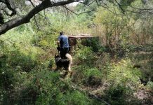 Il papà di Gioele “Dubbi sui metodi adottati per le ricerche”