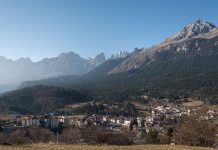Trentino, catturato orso dopo l’aggressione a un carabiniere