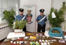 Coltiva marijuana in casa, 26enne nei guai