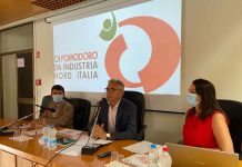 A Mantova sono 3.998 gli ettari coltivati a pomodoro da industria