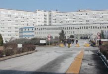 Agricoltore 27enne di Asola cade dal tetto della stalla, grave