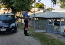 Incastrato dal Dna: nuovi guai per il ladro seriale dei circoli sportivi