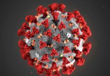 Coronavirus, Iss “Progressivo peggioramento, Rt sale a 1,18”