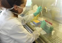 Covid, 1.695 nuovi casi e 16 decessi nelle ultime 24 ore