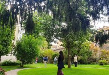 Interno Verde, tremila persone nei giardini di Mantova