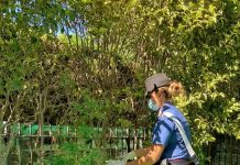 “Odore strano”: chiama i Cc che gli trovano la marijuana