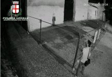 Furto negli uffici di Palazzo Te: 39enne indiano denunciato dalla Polizia locale