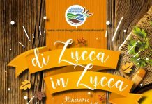 Il Consorzio agrituristico mantovano alla 25° edizione della fiera “Frutti antichi” di Paderna