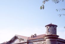 Questa sera evento astronomica a Bosco Fontana