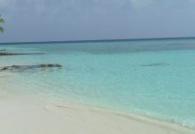 Best practice per la tutela del mare, Pecoraro Scanio “Polmone pianeta”