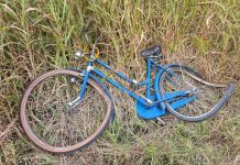 Investe un ciclista a Montanara e poi fugge: caccia al pirata