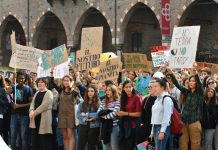 Lo sciopero globale arriva anche a Mantova