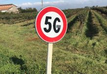Nella Bassa cartelli col limite “5G”: burla o protesta?