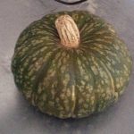 Zucche, Coldiretti Mantova: qualità elevata, ma rese inferiori per … Zucche, Coldiretti Mantova: qualità elevata, ma rese inferiori per …