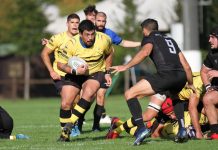Rugby Coppa Italia – Viadana, parla il ds Bronzini: “Contro Reggio capiremo di che pasta siamo fatti”