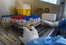 Tumori, primo report in Italia sulle terapie CAR-T