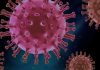 Sequenziato il genoma del virus SARS-CoV-2 che circola in Sicilia