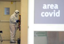 Covid, 33.979 nuovi casi e 546 vittime in 24 ore