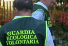 Ambiente: le guardie impiegate come poliziotti