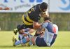 Rugby Top 10 – Viadana, ridotta di un mese la squalifica di Caila Adolfo Caila