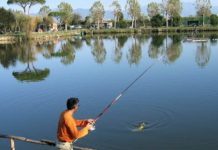 Sì alla pesca sportiva purché nel proprio Comune