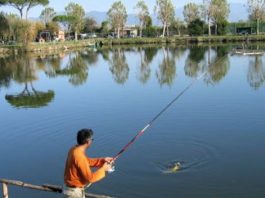 Pesca, Regione Lombardia rafforza il sostegno ad acquacoltura e pesca dilettantistica