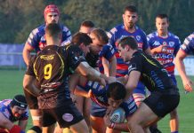 Rugby Top 10 – Viadana cede con onore alla corazzata Rovigo (37-17)