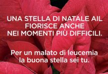 Lotta alle leucemie, tornano le Stelle di Natale dell’AIL