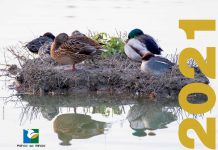 La biodiversità protagonista del calendario 2021 del Parco del Mincio