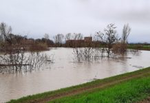 Secchia, a Bondanello raggiunta la portata storica