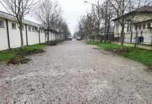 Un bel gesto: i genitori puliscono dalle foglie il viale che costeggia le scuole di Governolo
