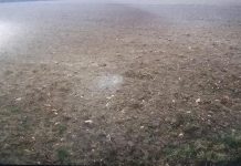 Da un terreno incolto altri resti della Via Claudia Augusta