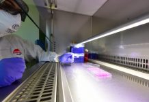 Coronavirus, 10.800 casi e 348 vittime in 24 ore