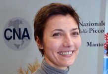 Cna chiede la proroga dello stop dell’invio delle cartelle esattoriali