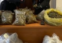 Più di un quintale di marijuana nella casa-laboratorio: due in manette