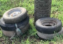 Ancora furbetti dei rifiuti in azione al Bosco dei Ciliegi di Bozzolo