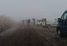 No a rimedi “fai da te” ma anche un no alle nutrie: la Lega di Suzzara porta la questione in consiglio