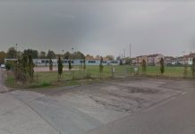 Gatti azzannati da due pitbull, paura al parco dei Pioppi a Ostiglia