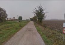 Furto su commissione? Rubate 70 pecore a Serravalle