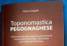 Toponomastica pegognaghese: cinquecento pagine per rileggere un paese nato su quattro strade