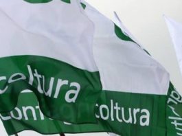 Confagricoltura Mantova giovedì a Bruxelles per protestare contro la nuova Pac