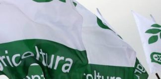 Confagricoltura Mantova giovedì a Bruxelles per protestare contro la nuova Pac